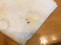 -阳光院坝小龙虾(红牌楼店)