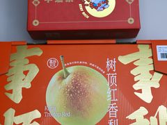 -绚荟城