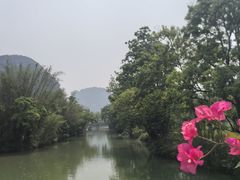 -明仕田园