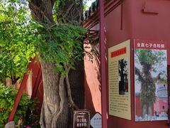 -延庆观
