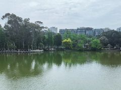 -公园茶楼粤式点心