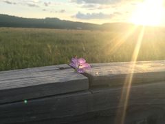 -塞罕坝国家级自然保护区