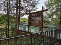 -峡谷浮石林景区