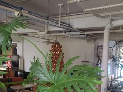 -水边(郯城店)