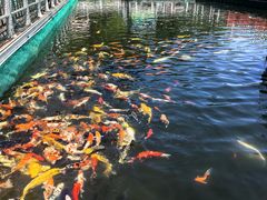 -秦岭终南山世界地质公园翠华山景区