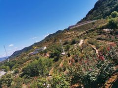 -密云玫瑰情园