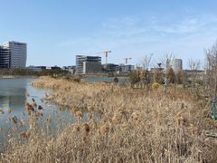 -上海滴水湖皇冠假日酒店