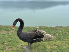 -长兴太湖图影湿地文化园