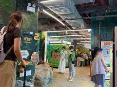 -正佳雨林生态植物园