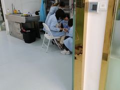 -汪喵宠物医院·骨科心脏影像·犬猫急重症ICU诊疗中心(成华分院)