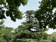 -国家植物园南园