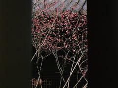 -慧因高丽寺