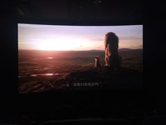 -万达影城(汉街万达广场IMAX店)