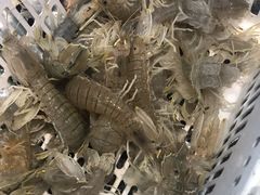 -范饭椰林川湘味海鲜·椰子鸡(三亚湾椰梦长廊店)