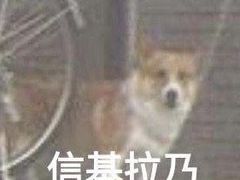-去茶山(重庆万象城店)