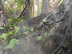 -青青世界