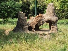 -杭州野生动物世界