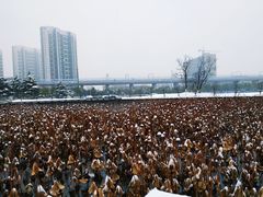 -南京医科大学(江宁校区)