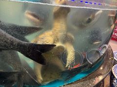 -魏铭鱼头捞饭(晋阳路店)