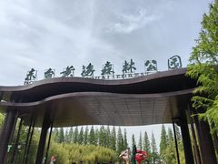 -黄海国家森林公园