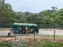 -深圳野生动物园
