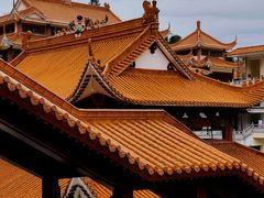 -深圳仙湖植物园