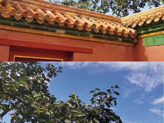 -故宫博物院(故宫)