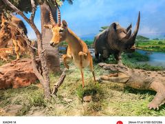 -国家自然博物馆