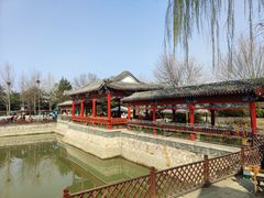 -尚庄度假村·庭台树下·户外烧烤·团建CS·轰趴营地(上庄水库店)