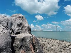 -上海吴淞炮台湾国家湿地公园