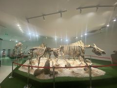 -南通洲际绿博园