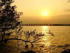 -宝安西湾红树林湿地公园