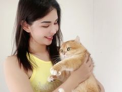 -坂田天虹