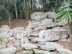 -深圳国际园林花卉博览园