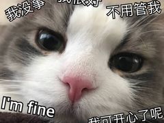 -老伴豆花(麦士威熟食中心店)