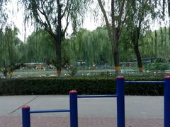 -康庄公园