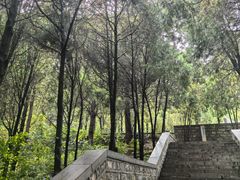 -四门塔风景区