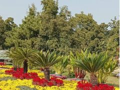 -国家植物园南园