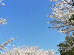 -白塘生态植物园