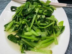 -丁老爷子苏香圆