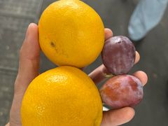 -西郊国际农产品交易中心