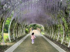 -同里国家湿地公园
