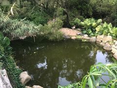 -厦门园林植物园-植物园滴水山房