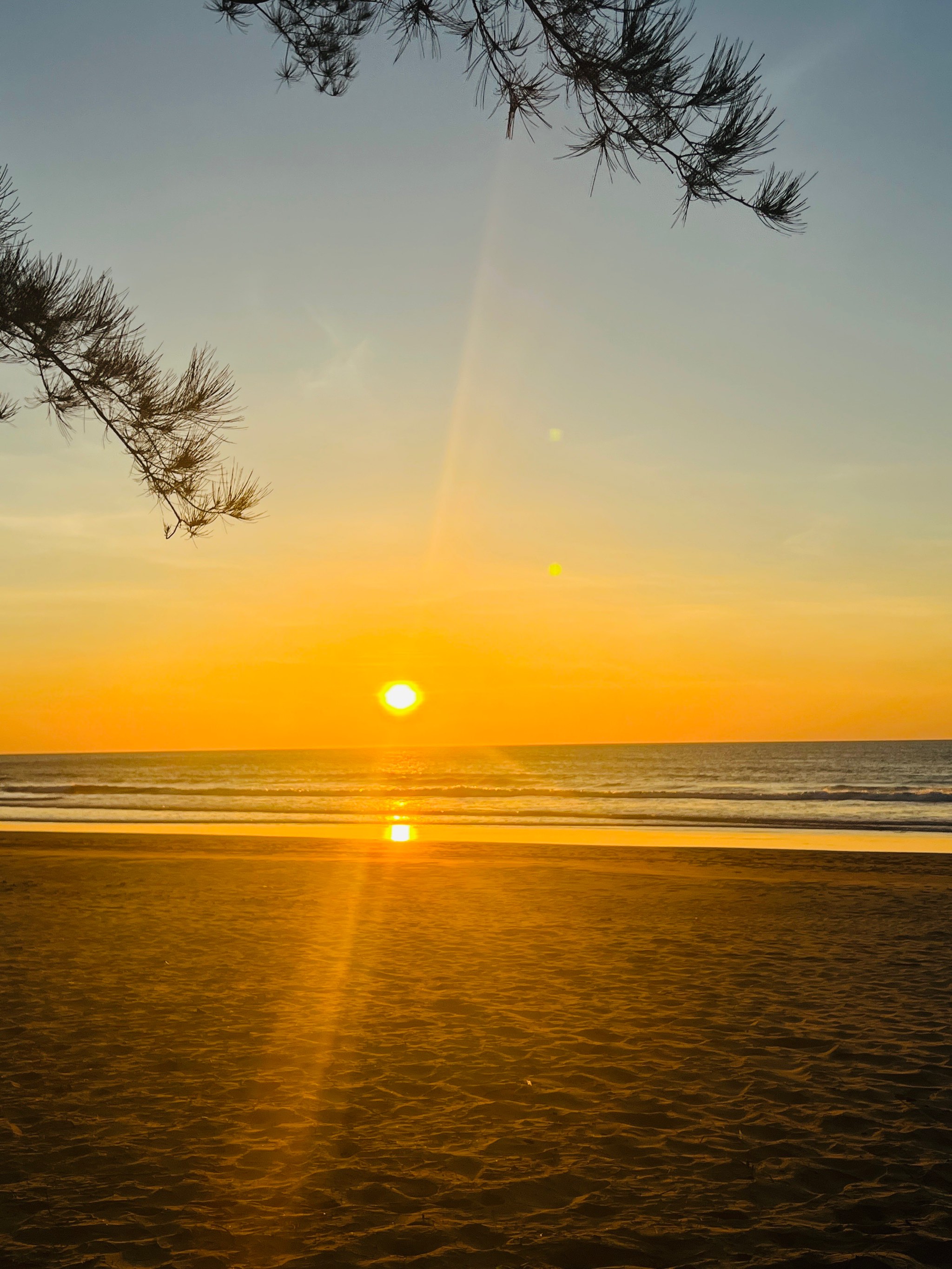 海边傍晚落日夕阳图片图片