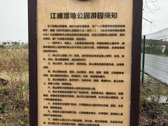 -江滩湿地公园