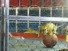 android_upload_pic-西安秦岭野生动物园