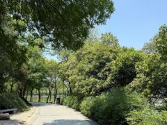 -莲湖公园