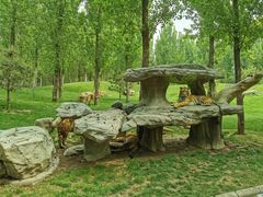 -北京野生动物园