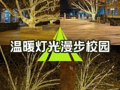 -北京市海淀外国语实验学校