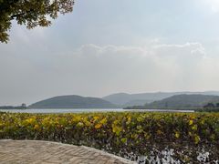 -南北湖风景区
